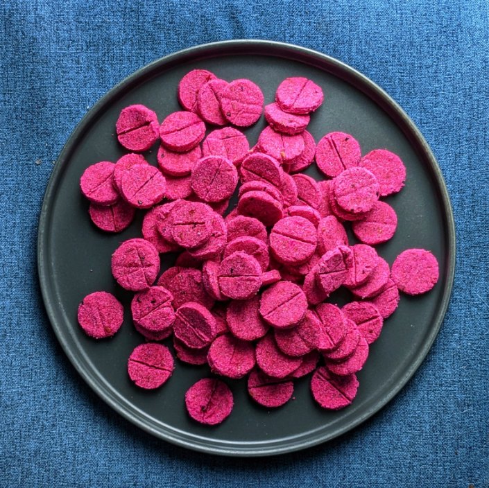 CHESTER'S DRAGON FRUIT DOG TREATS GOOD FOR BRAIN SUPPORT & PROBIOTICS