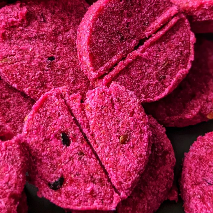 CHESTER'S DRAGON FRUIT DOG TREATS GOOD FOR BRAIN SUPPORT & PROBIOTICS