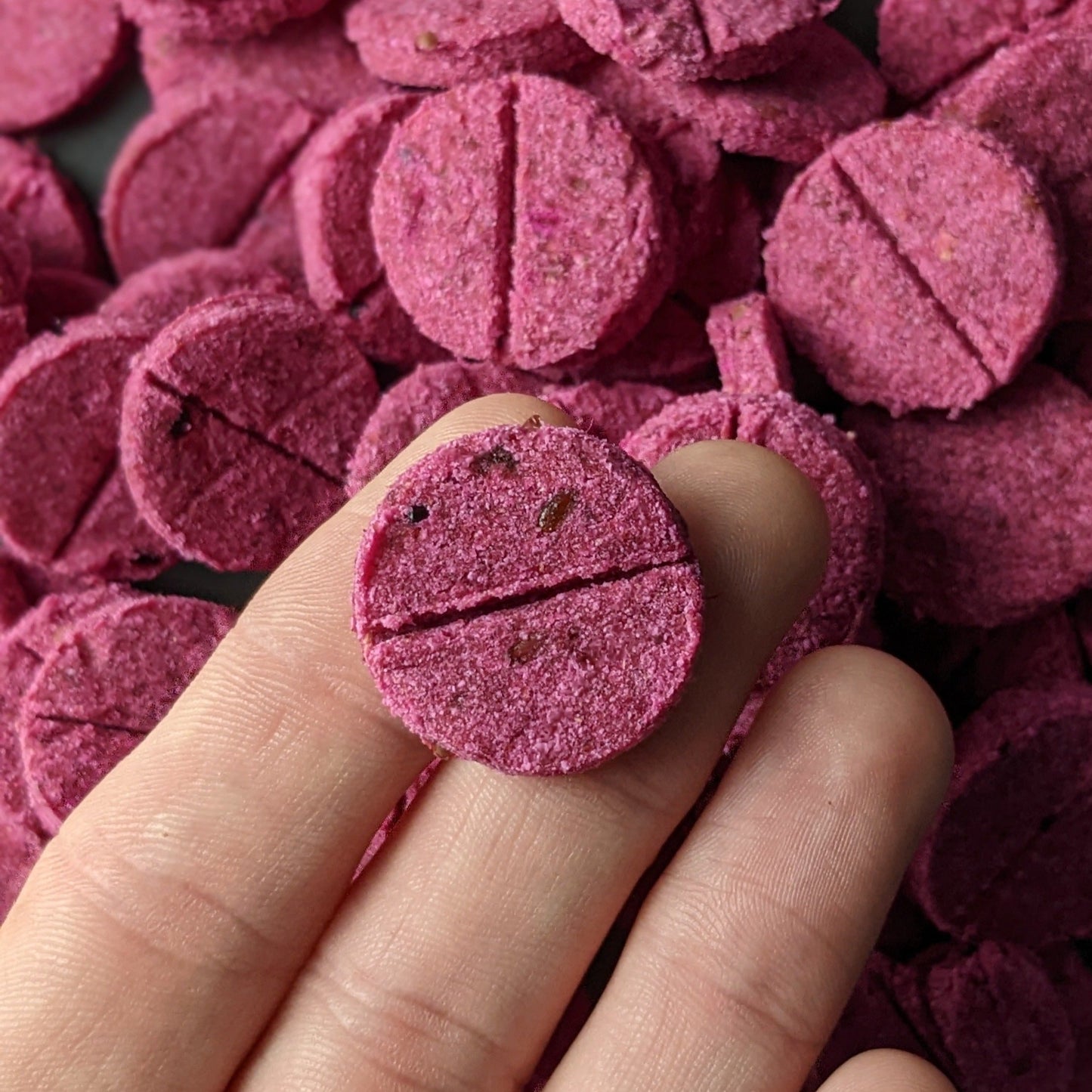 CHESTER'S DRAGON FRUIT DOG TREATS GOOD FOR BRAIN SUPPORT & PROBIOTICS